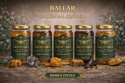BALLAR