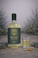 OGS 007 GÜMÜŞ SUYU (HAYIT OTLU)