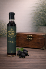 OBİ 001 KARADUT ŞURUBU 500 ML