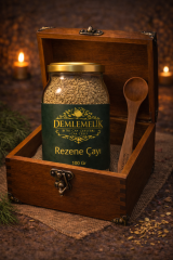 DBÇ009 REZENE ÇAYI