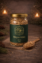 ÜŞK002 MEYAN KÖKÜ