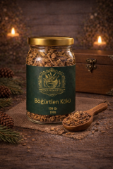 ÜŞK006 BÖĞÜRTLEN KÖKÜ