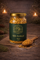 ÜŞK008 KÖK ZERDEÇAL