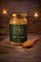 ÜŞK008 KÖK ZERDEÇAL