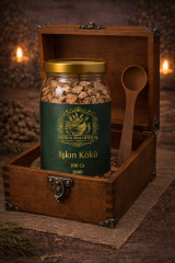 ÜŞK011 IŞKIN KÖKÜ