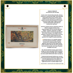 ŞİFA KUTUSU  B29 (Kansızlık Demir Feritin)