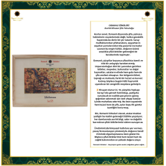 ŞİFA KUTUSU  İ29 (Pasude” Panikatak, Anksiyete, Stres, Uykusuzluk, Depresyon, Endişe”)