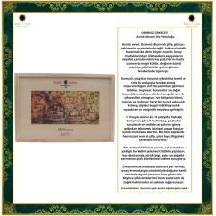 ŞİFA KUTUSU  P29 (İdrar Yolu Enfeksiyonu”Sistit”)