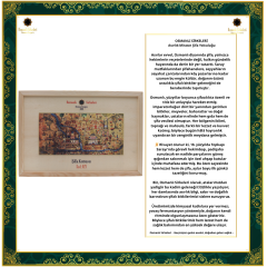 ŞİFA KUTUSU N29 (Karaciğer Yağlanması)