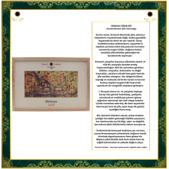 ŞİFA KUTUSU I29 (Bağışıklık Güçlendirici)