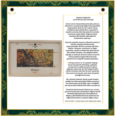 ŞİFA KUTUSU F29  (Helikobakter Pilori)