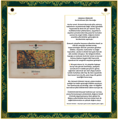 ŞİFA KUTUSU G29 (İltihaplı Romatizma)