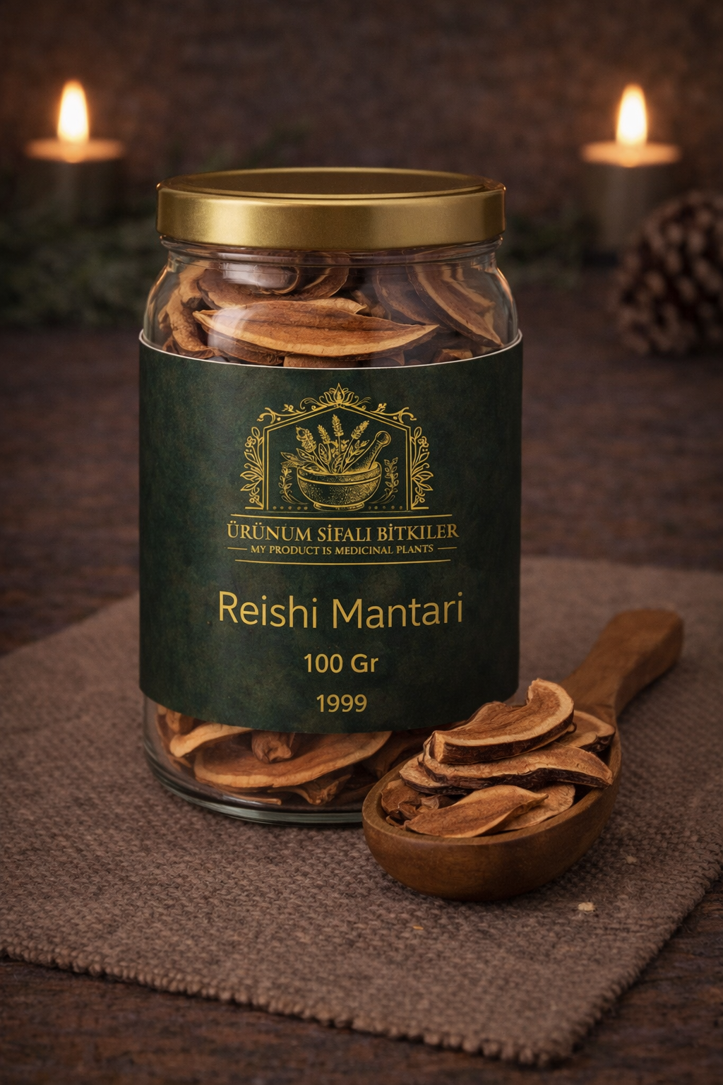 ÜŞD031 REİSHİ MANTARI